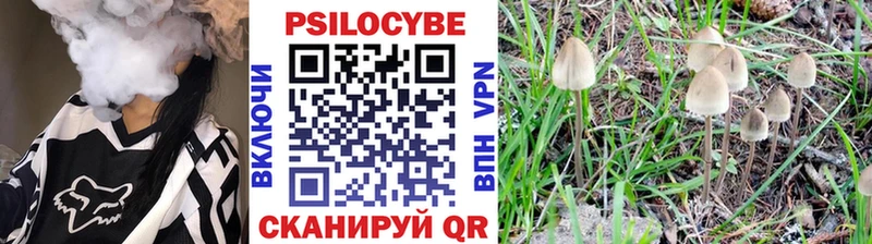Псилоцибиновые грибы ЛСД  где купить наркоту  Бородино 